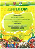 Диплом участника фестиваля вожатского творчества  в номинации "Моя идея"